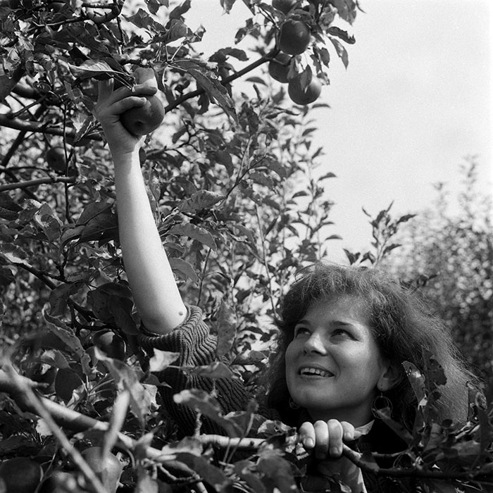 minerva_1985_c2_c3r3_030