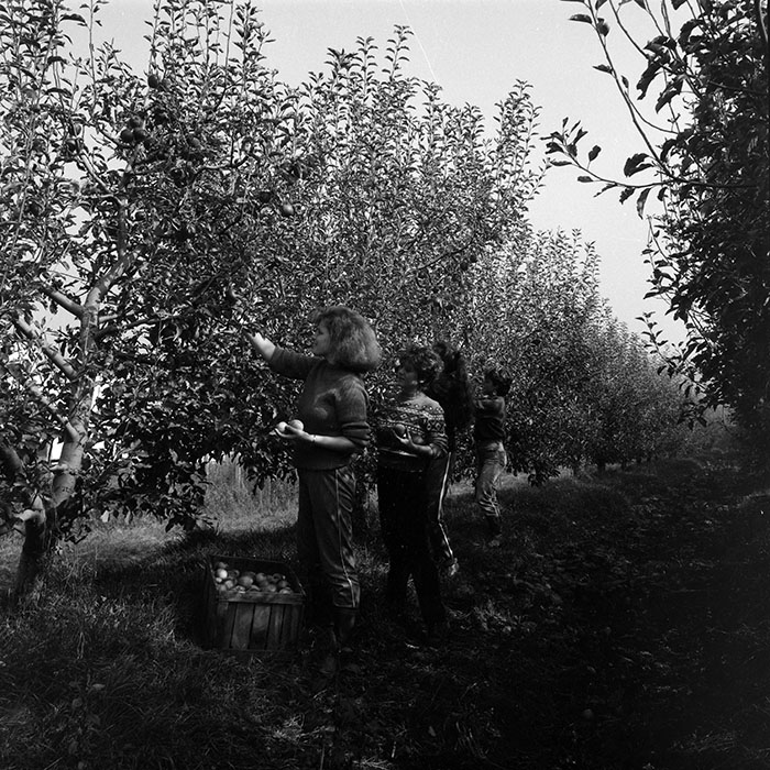 minerva_1985_c2_c3r3_033