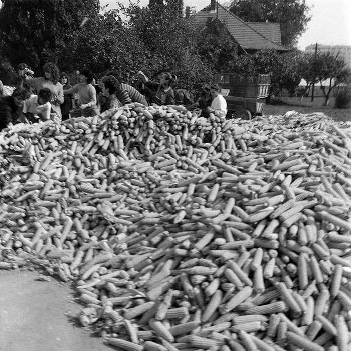 minerva_1985_c2_c3r3_035