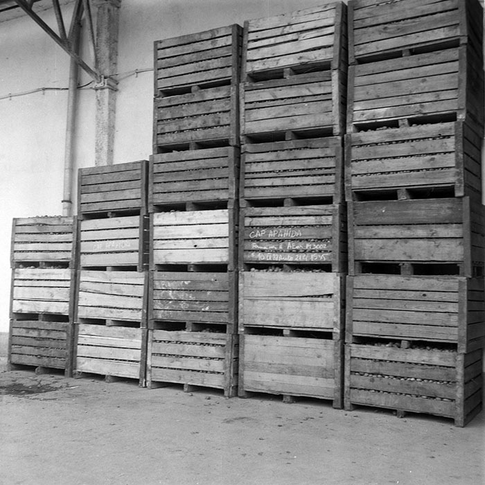 minerva_1985_c2_c3r4_002