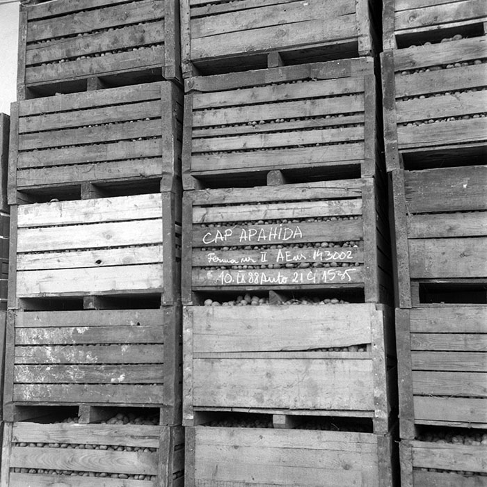 minerva_1985_c2_c3r4_003