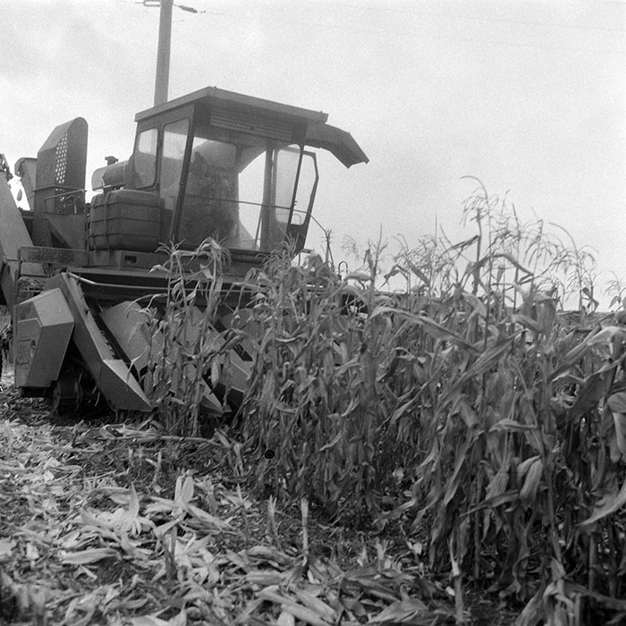 minerva_1985_c2_c5r3_047