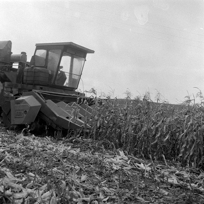 minerva_1985_c2_c5r3_048