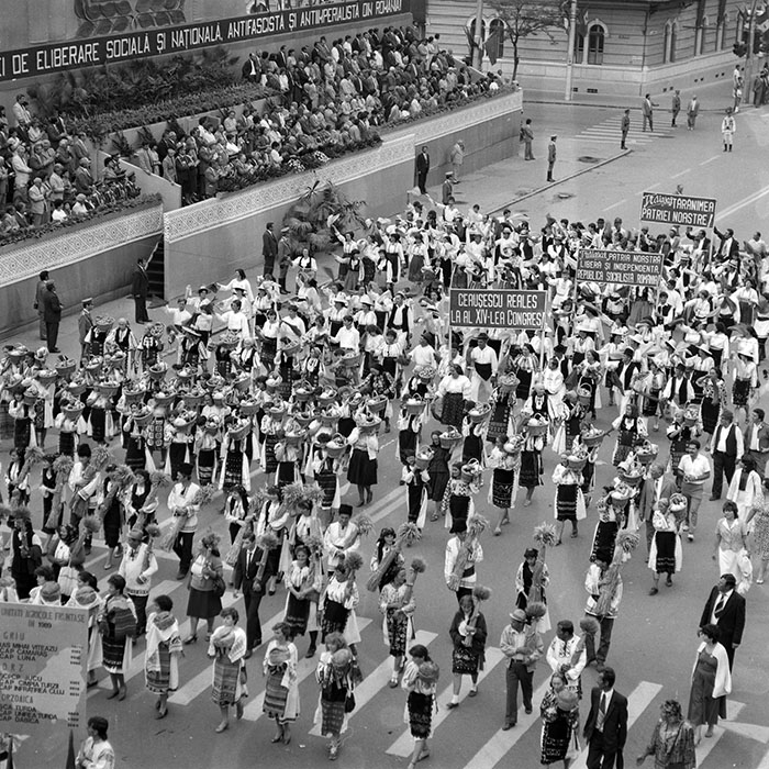 minerva_1985_c2_c6r1_006