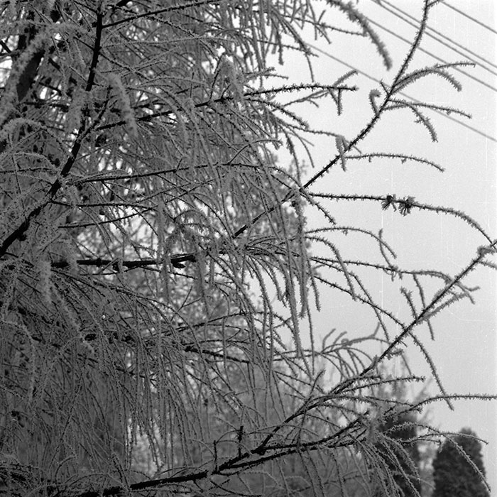 minerva_1985_c2_c6r2_058