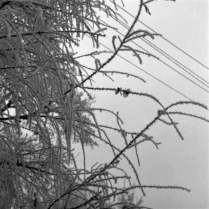 minerva_1985_c2_c6r2_059