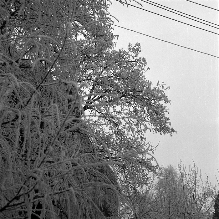 minerva_1985_c2_c6r2_060