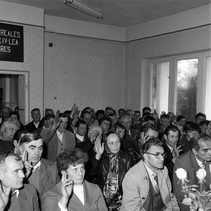 minerva_1985_c2_c6r4_047