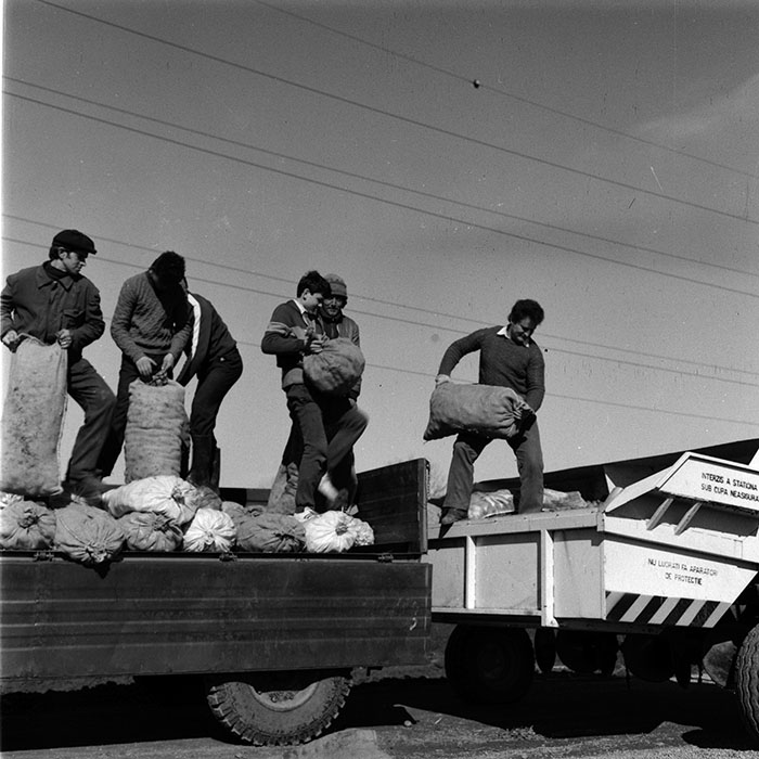 minerva_1986-1987_agrar_c10r2_001