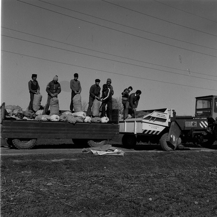 minerva_1986-1987_agrar_c10r2_002