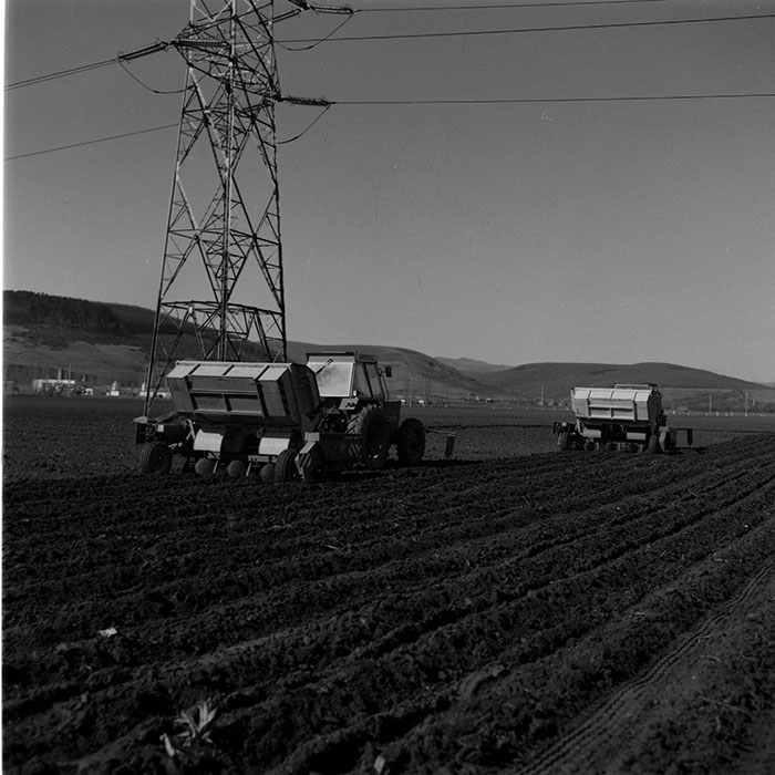 minerva_1986-1987_agrar_c10r2_006