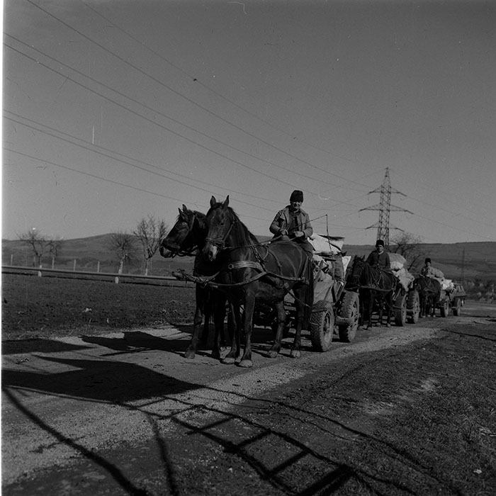 minerva_1986-1987_agrar_c10r2_007