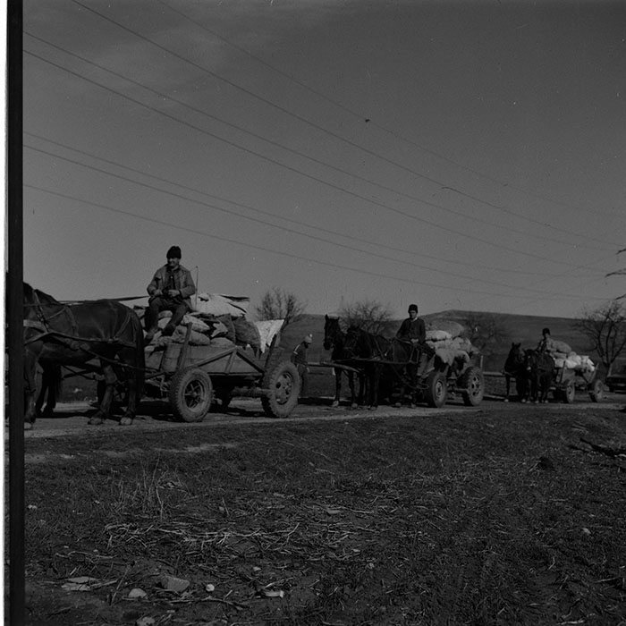 minerva_1986-1987_agrar_c10r2_008