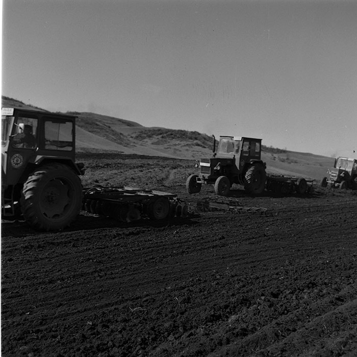 minerva_1986-1987_agrar_c10r2_009