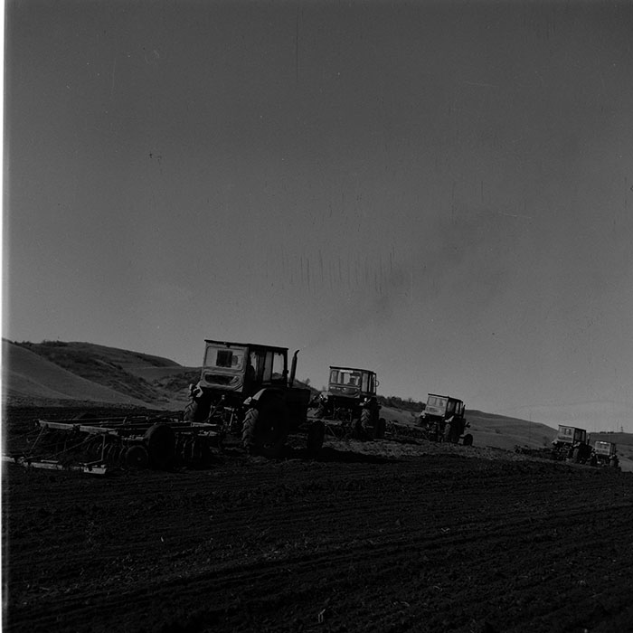 minerva_1986-1987_agrar_c10r2_011