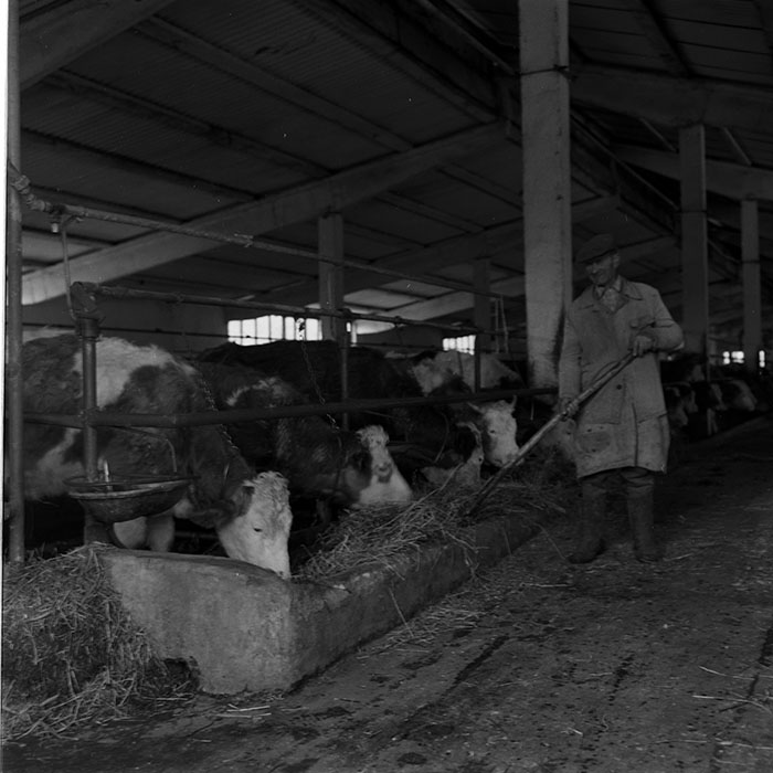 minerva_1986-1987_agrar_c10r4_003