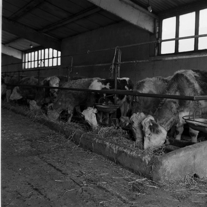 minerva_1986-1987_agrar_c10r4_005