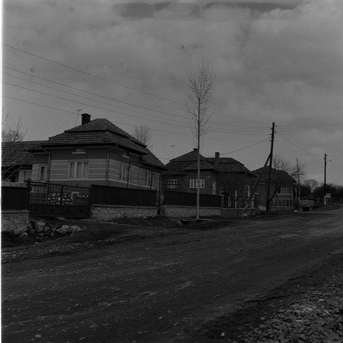 minerva_1986-1987_agrar_c10r4_012