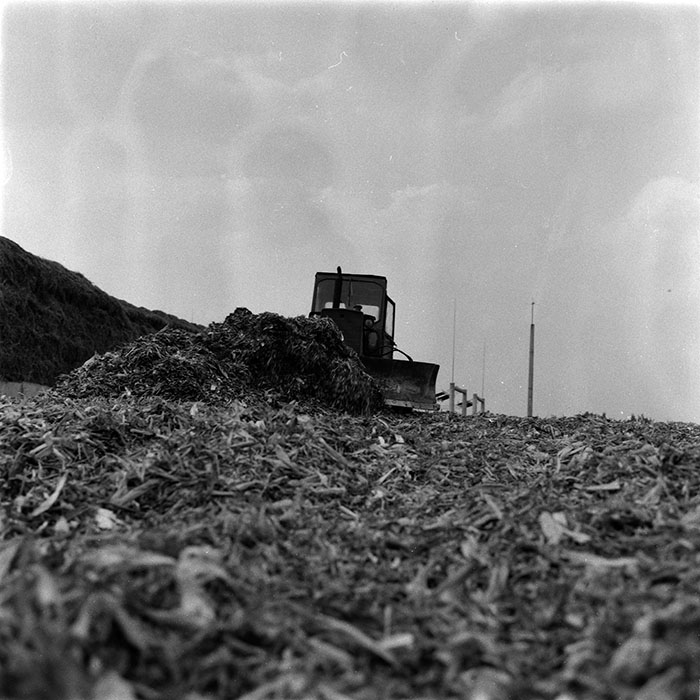 minerva_1986-1987_agrar_c1r1_001