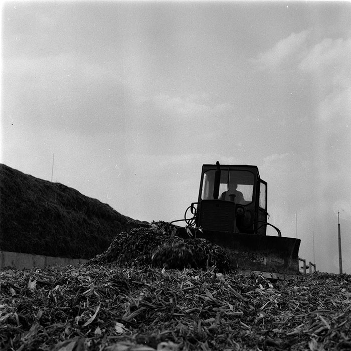 minerva_1986-1987_agrar_c1r1_002