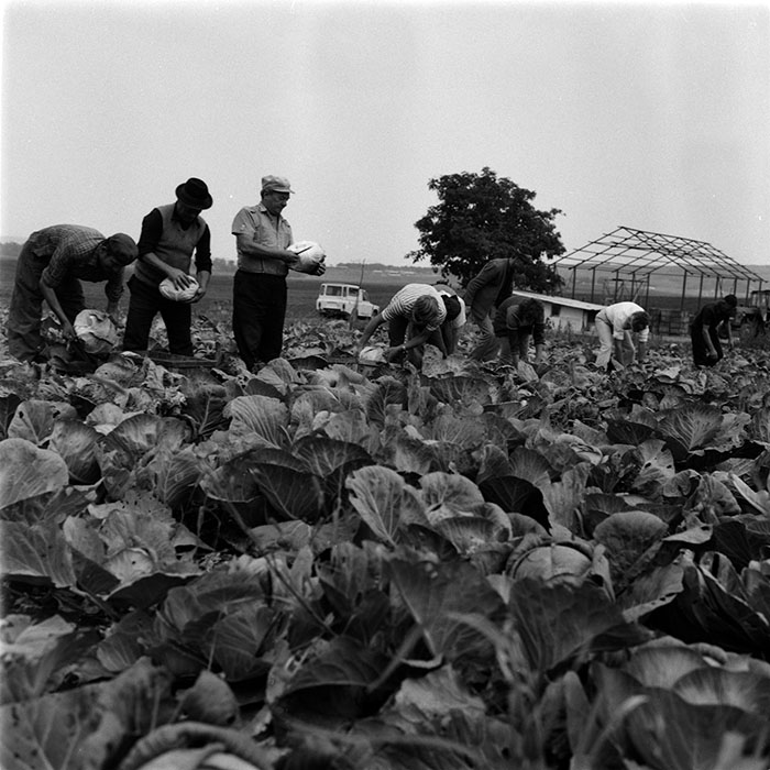 minerva_1986-1987_agrar_c1r1_003