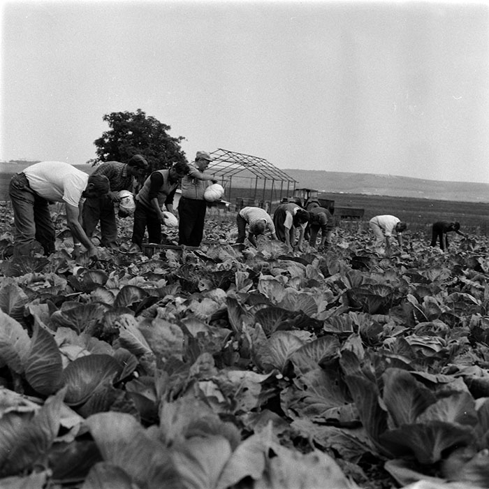 minerva_1986-1987_agrar_c1r1_005