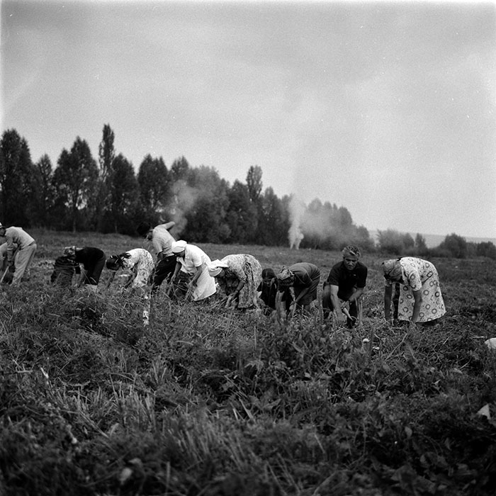 minerva_1986-1987_agrar_c1r1_008