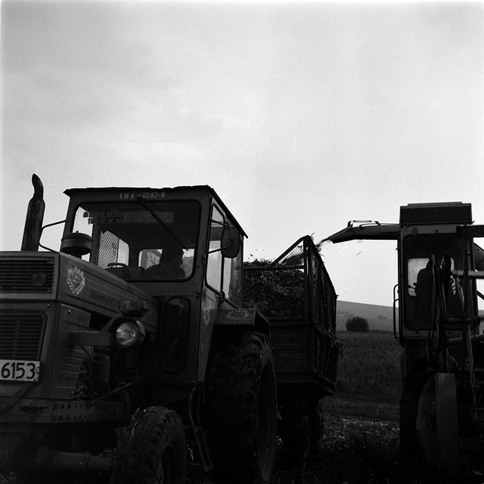 minerva_1986-1987_agrar_c1r1_010