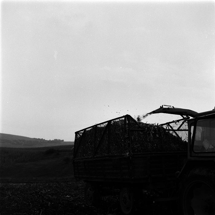 minerva_1986-1987_agrar_c1r1_011