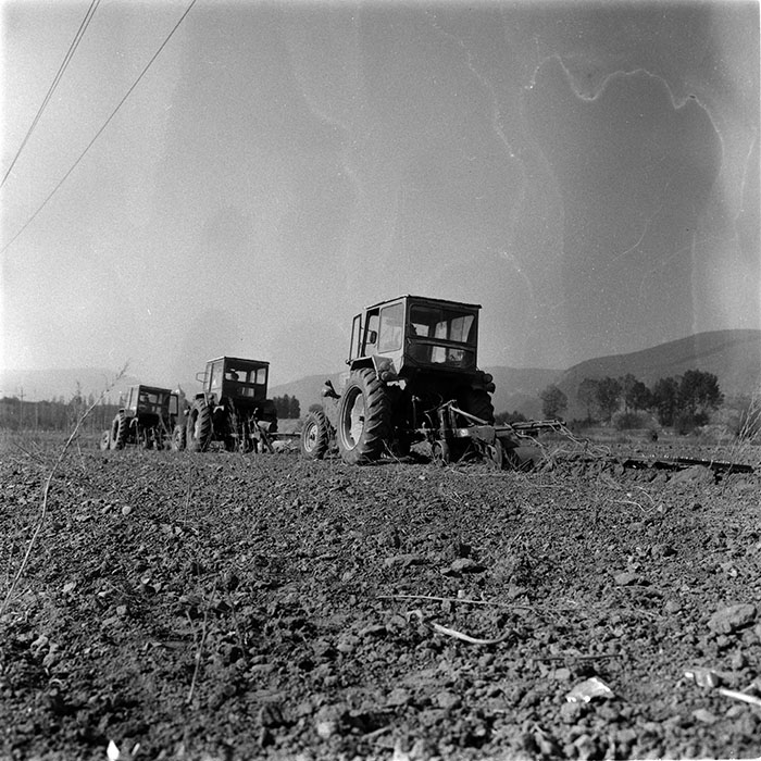 minerva_1986-1987_agrar_c1r2_001