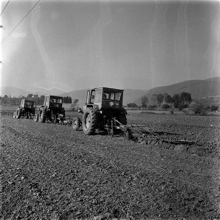 minerva_1986-1987_agrar_c1r2_002