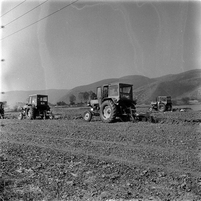 minerva_1986-1987_agrar_c1r2_003