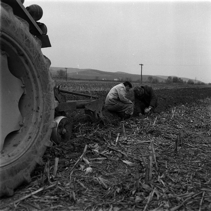 minerva_1986-1987_agrar_c1r2_005