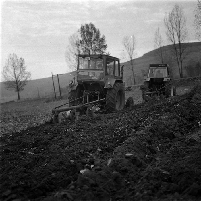 minerva_1986-1987_agrar_c1r2_007