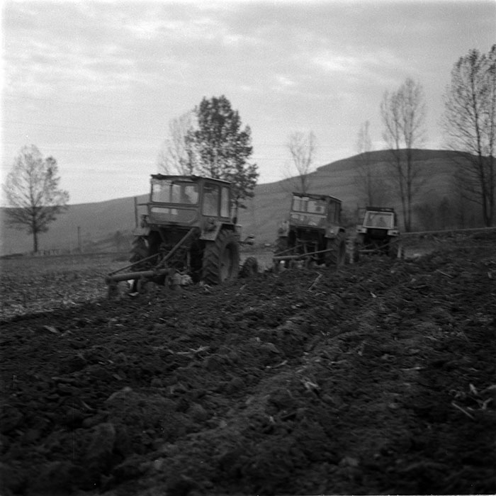 minerva_1986-1987_agrar_c1r2_008