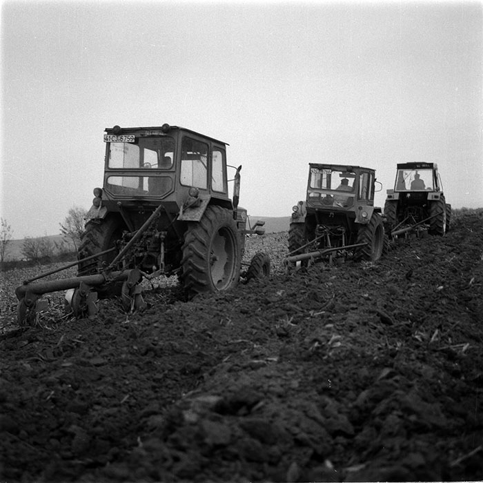 minerva_1986-1987_agrar_c1r2_009