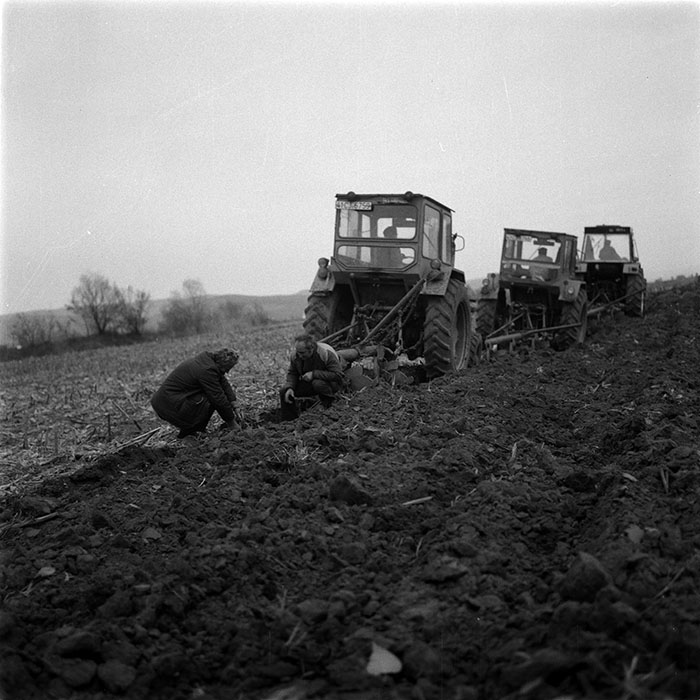 minerva_1986-1987_agrar_c1r2_010