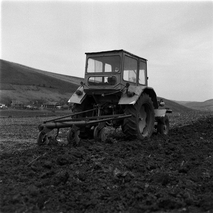 minerva_1986-1987_agrar_c1r2_012