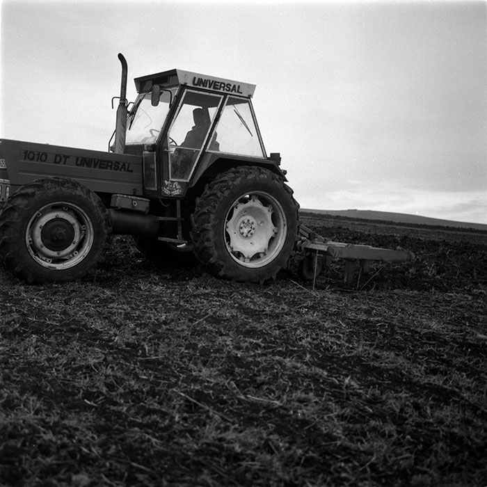 minerva_1986-1987_agrar_c1r2_017