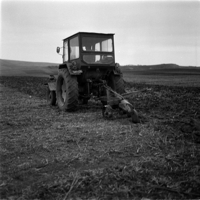 minerva_1986-1987_agrar_c1r2_019