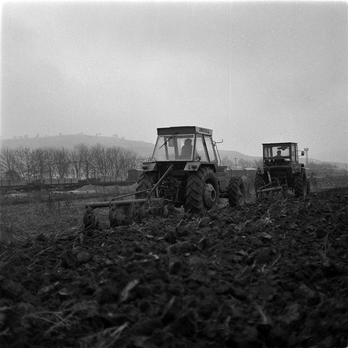 minerva_1986-1987_agrar_c1r2_029