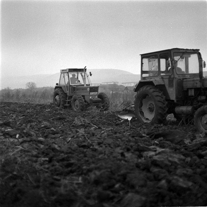 minerva_1986-1987_agrar_c1r2_031