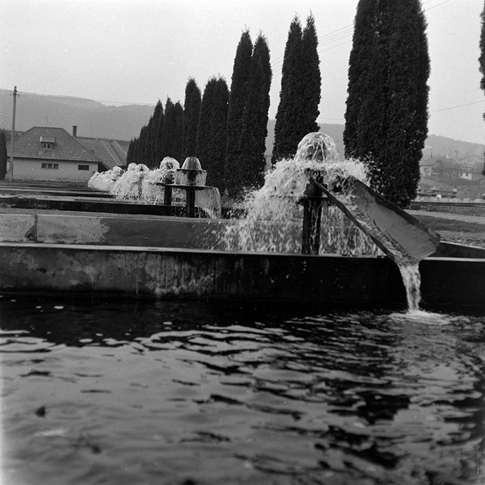 minerva_1986-1987_agrar_c1r3_001