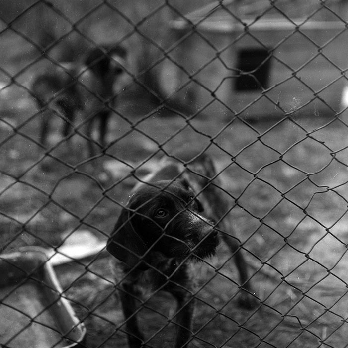 minerva_1986-1987_agrar_c1r3_006