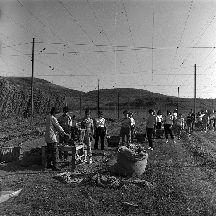 minerva_1986-1987_agrar_c1r4_002