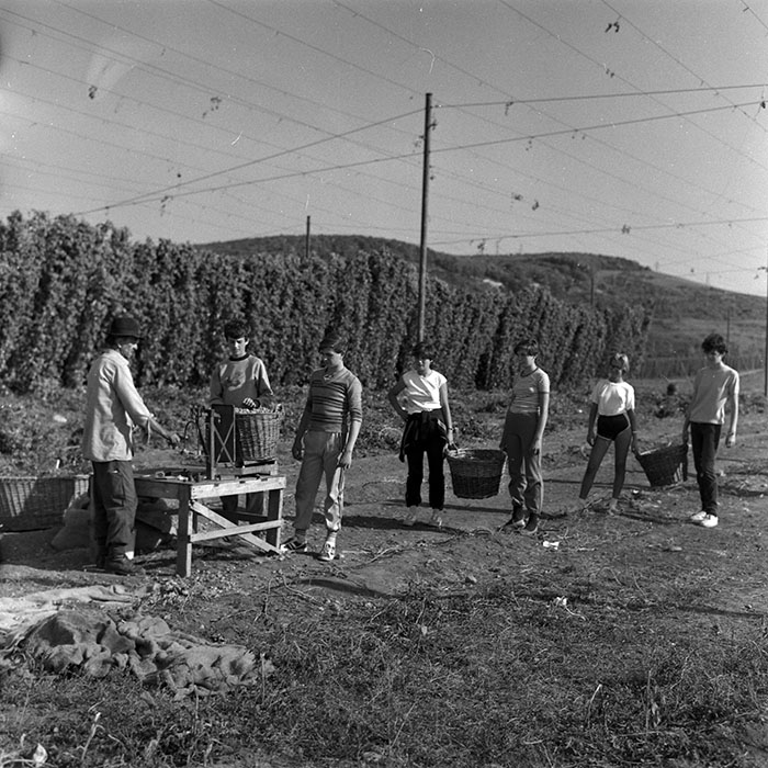 minerva_1986-1987_agrar_c1r4_003