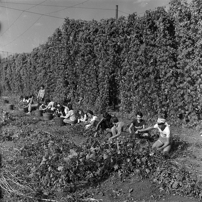 minerva_1986-1987_agrar_c1r4_008