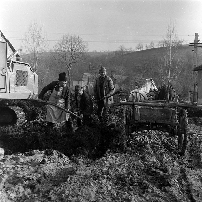 minerva_1986-1987_agrar_c1r5_002