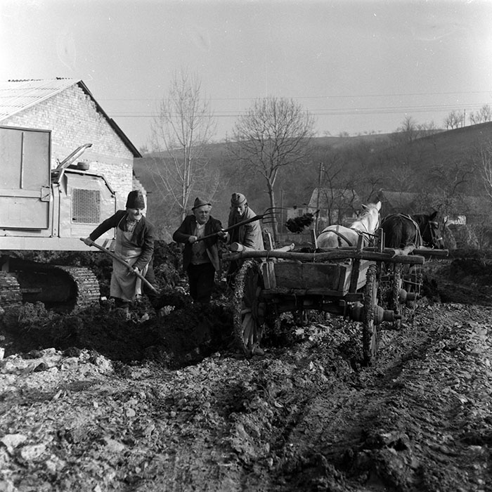 minerva_1986-1987_agrar_c1r5_003