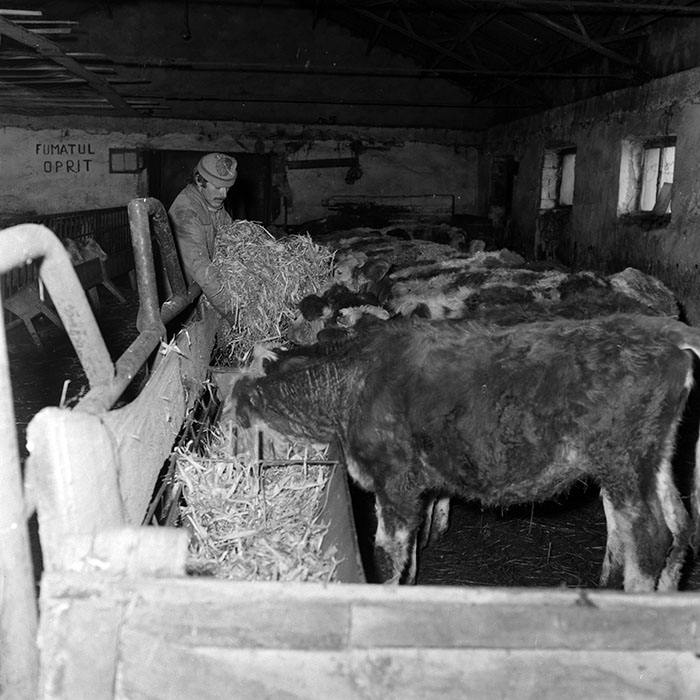 minerva_1986-1987_agrar_c1r5_005